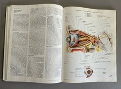 Ciba Collection of Medical Illustrations Volume 1 Nervous Systems Part 1 Netter