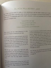 Blue Chair Jam Cookbook Illustrated Hardcover by Rachel Saunders 372 pages