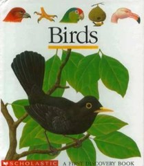 Birds First Discovery Books – Hardcover By Scholastic – GOOD