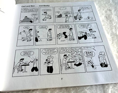 Welcome to Beeky Airlines SIGNED INSCRIBED 1st Edition Softcover Seth Campos
