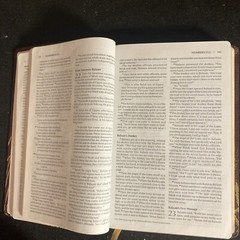 Niv Flora and Fauna Collection Bible by Zondervan Staff (2012, Leather)