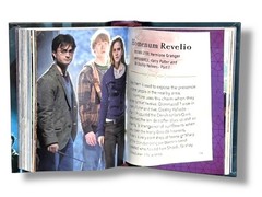 From the films of Harry Potter Mini Book of Spells and Charms full color 303 pgs