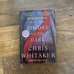 All the Colors of the Dark – LIKE NEW