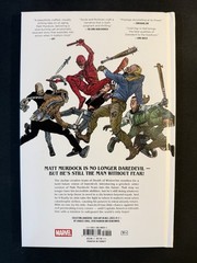 Daredevil: Cold Day in Hell Hardcover by Charles Soule & Steve McNiven – Marvel