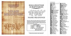 Genuine Leather STANDARD HALLELUYAH SCRIPTURES Bible + Free Books