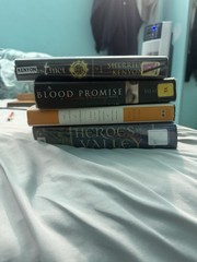 Mixed Fiction Book Lot – Fantasy & Young Adult, English, Mixed Format