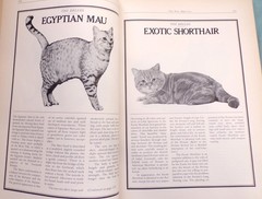 “Cat Catalog”, The Ultimate Cat Book, Large “Very Good” 1st Ed. Book, 352 pages