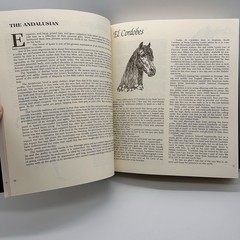 Classic Book of Horses Robert Vavra’s 1st Edition 1992 Hardcover DJ 359 Pages.