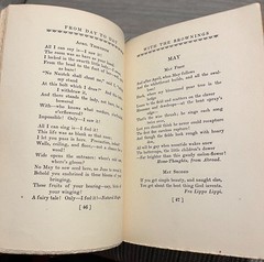 From Day to Day with the Brownings, Wallace & Frances Rice [Soft Leather Bound]