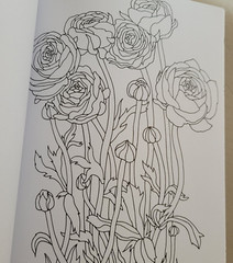 LOVE YOU MOM ADULT COLORING BOOK – 2022 TOPIX MEDIA – 47 FESTIVE COLORING PAGES