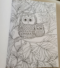 LOVE YOU MOM ADULT COLORING BOOK – 2022 TOPIX MEDIA – 47 FESTIVE COLORING PAGES