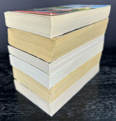 Amish Romance Lot of 6 Paperbacks by Various Authors – The Gift of Joy