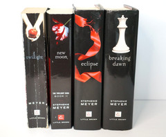 Twilight Saga Book Series 1-4 Stephenie Meyer New Moon Eclipse Breaking Dawn lot