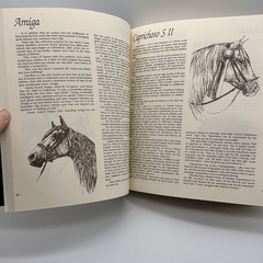Classic Book of Horses Robert Vavra’s 1st Edition 1992 Hardcover DJ 359 Pages.