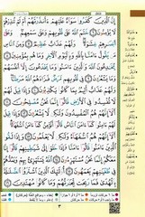 Tajweed Quran – Arabic Edition – Hardcover – Color Coded Letters – QR – 4×5.5 in