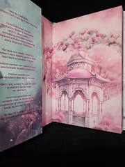 My Dark Desire L. J. Shen Digitally Signed Limited Ed. Slip Case Sprayed Edges