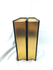 Lyndon Johnson And His Times Robert Dallek 2001 Collector’s Edition Easton Press