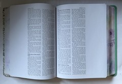Brand NEW King James Personsal Reflection Edition Bible for Journaling