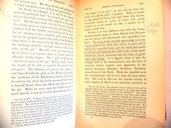 Christian Doctrin of Immortality by S. D. F. Solomond D.D. 1896 2nd Ed. theology