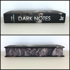 Blackout Romance Pam Godwin Dark Notes Special Edition Hardcover New