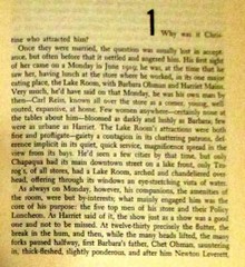 1951 The Stranger Beside Me by Mabel Seeley H/C D/J First Edition 272 Pages