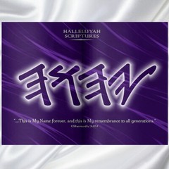 HALLELUYAH SCRIPTURES STANDARD BILE With Free Book & Free Shipping