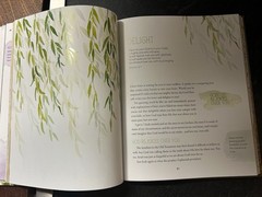 GraceLaced Journal Devotional by Ruth Chou Simons (Book, Christian)