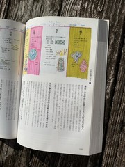Japanese & Chinese Pattern Design Encyclopedia 2000 Illustrated Motif Art Book