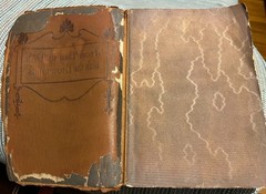From Day to Day with the Brownings, Wallace & Frances Rice [Soft Leather Bound]
