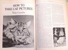 “Cat Catalog”, The Ultimate Cat Book, Large “Very Good” 1st Ed. Book, 352 pages