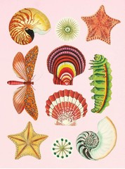 The Antiquarian Sticker Book: Over 1,000 Exquisite Victorian Stickers