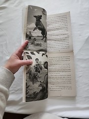 Lot Of 7 Ranger in Time Series Kate Messner Dog Time Travel History
