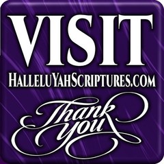 HALLELUYAH SCRIPTURES STANDARD BILE With Free Book & Free Shipping