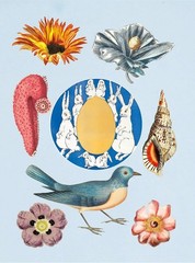 The Antiquarian Sticker Book: Over 1,000 Exquisite Victorian Stickers