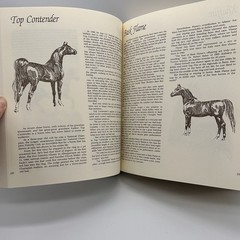 Classic Book of Horses Robert Vavra’s 1st Edition 1992 Hardcover DJ 359 Pages.