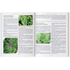 The Lost Book of Herbal Remedies Paperback Book