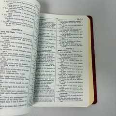 New American Bible Saint Joseph Edition Catholic Book Publishing Large Type