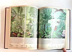 5-Time Life Books Young Readers Library Homeschool Various Topics Hardcover VTG