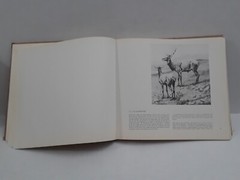 FREDERICK REMINGTON by Peter Hassrick 1973 HC Illustrated 13.5 x 12.25 in