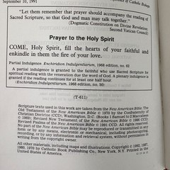 New American Bible Saint Joseph Edition Catholic Book Publishing Large Type